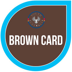 Screenshot of Brown Card SA