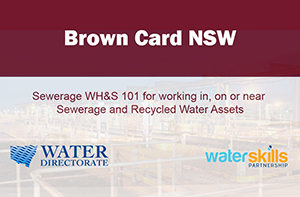 Screenshot of Brown Card NSW
