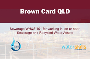Screenshot of Brown Card QLD